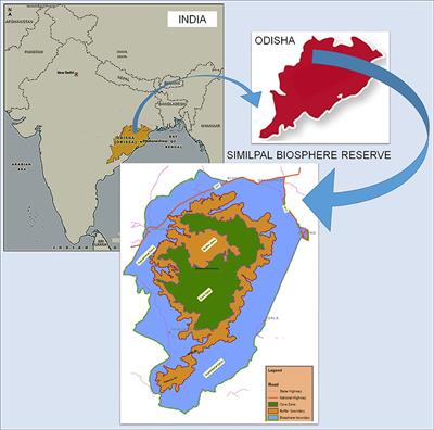 <mark class="highlighted">Dioscorea</mark> spp. (A Wild Edible Tuber): A Study on Its Ethnopharmacological Potential and Traditional Use by the Local People of Similipal Biosphere Reserve, India